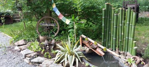 les cèdres bleus de Joany
