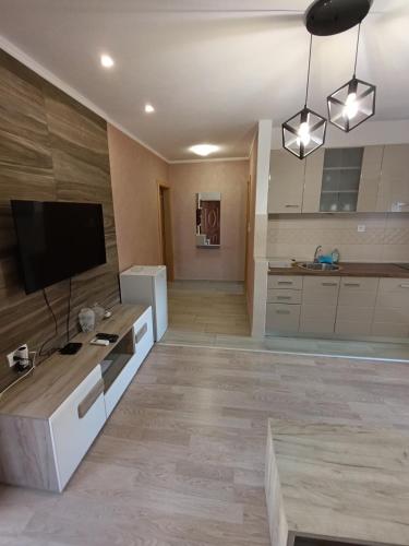 Μια τηλεόραση ή/και κέντρο ψυχαγωγίας στο Apartmani Zecevic