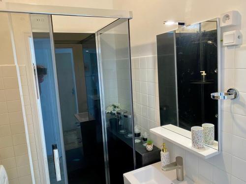 une salle de bain avec une douche, un lavabo et un miroir dans l'établissement L'Escale Colombe, Appartement à Concarneau, à Concarneau