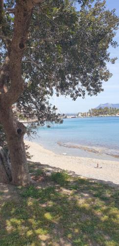 Φυσικό τοπίο κοντά σε αυτός ο ξενώνας