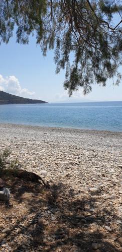 Φυσικό τοπίο κοντά σε αυτός ο ξενώνας