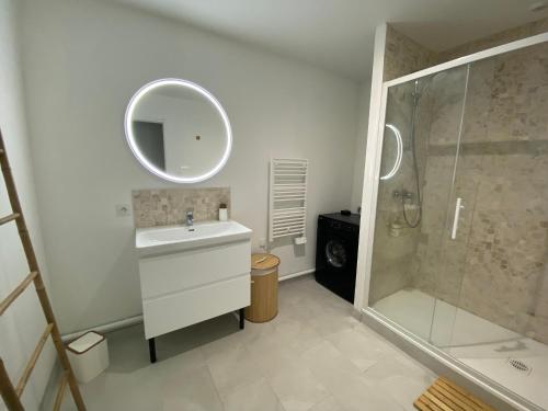 Un baño blanco con lavabo y ducha en Les Gites de Saint Thierry, en Reims