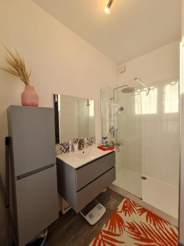 une salle de bain avec un lavabo et une douche dans l'établissement Ground floor apartment in farmhouse, à Villiers-le-Bâcle