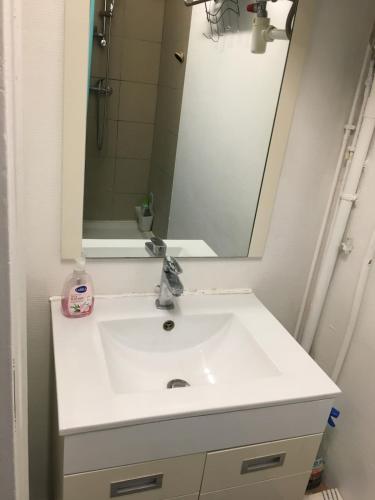 une salle de bain avec un lavabo blanc et un miroir dans l'établissement Charmant studio à 2 mn à pied de la gare de Rouen, à Rouen
