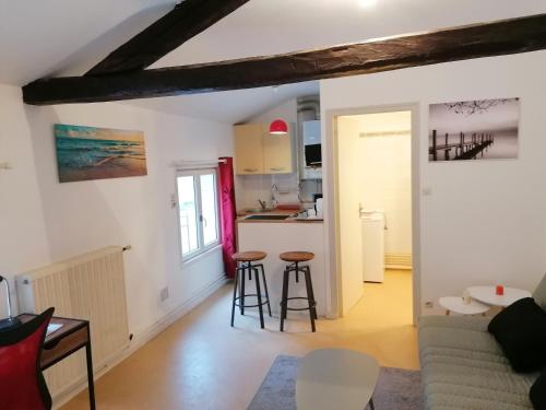 un salon avec un canapé et une cuisine dans l'établissement Centre Poitiers, à Poitiers