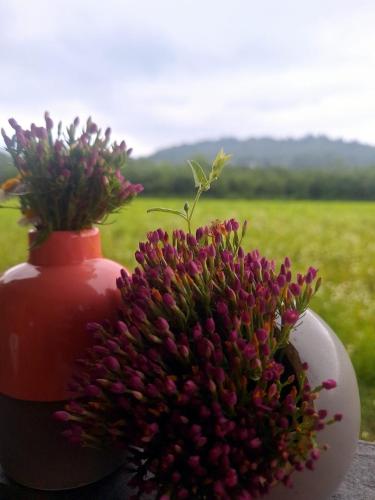 a vase with flowers in it next to a plant at Thea's Ethnographic Guest House in Nap'ich'khovo