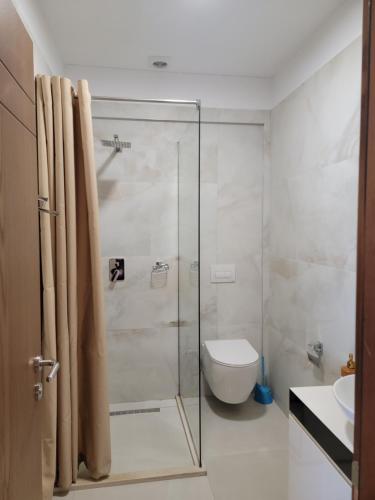 a bathroom with a glass shower and a toilet at Lahuta e Vjeter Agroturizem in Laç
