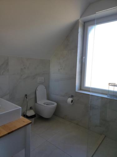 a bathroom with a toilet and a sink and a window at Lahuta e Vjeter Agroturizem in Laç