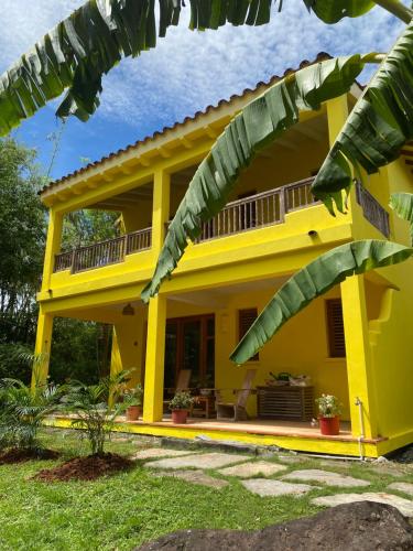 Zahrada ubytování Ocean Loft - Surf & Serenity Retreat
