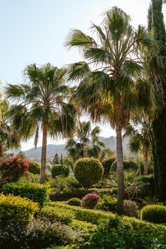 a garden with palm trees and flowers and bushes at Argaka Luxury Residence in Paphos City