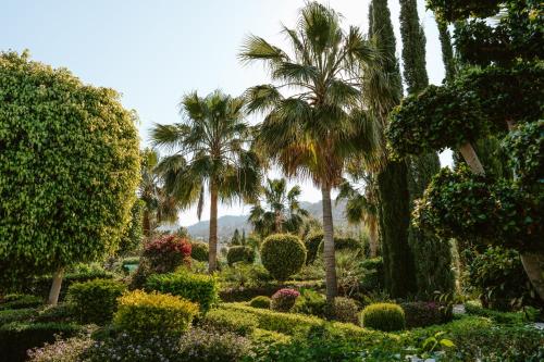 a garden with palm trees and bushes and flowers at Argaka Luxury Residence in Paphos City