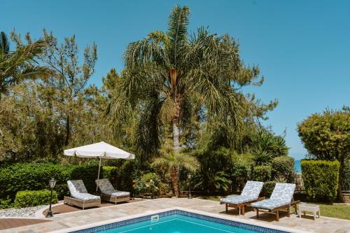 a pool with chairs and an umbrella and a palm tree at Argaka Luxury Residence in Paphos City