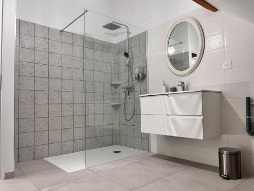 a bathroom with a shower with a sink and a mirror at Appartement Ampuis Villa Monplaisir in Ampuis