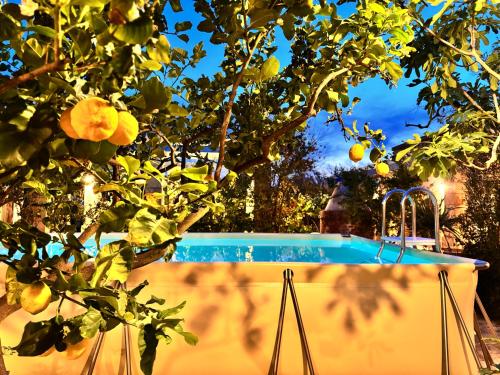 an orange tree with a pool in a yard at I SOGNI DI VENERE in Torre Suda