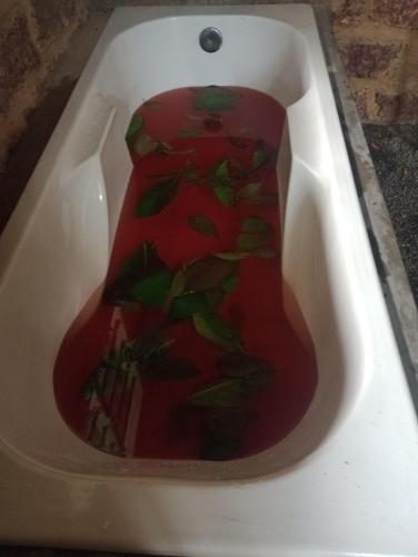 a bath tub filled with red liquid with green leaves at Lakshmi Villa in Aluthgama