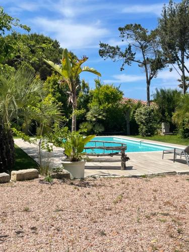 - un banc à côté d'une piscine dans l'établissement Villa Macalia, à Pietrosella