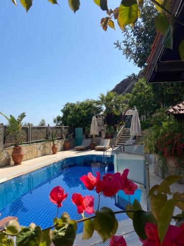 a swimming pool with red flowers in front of it at The Aegean Gate Hotel in Bodrum City