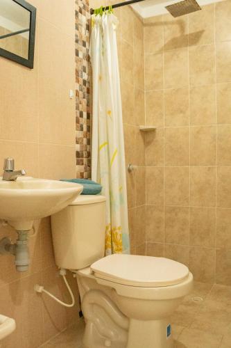 a bathroom with a toilet and a sink and a shower at apartamento con alma 888 in Coveñitas