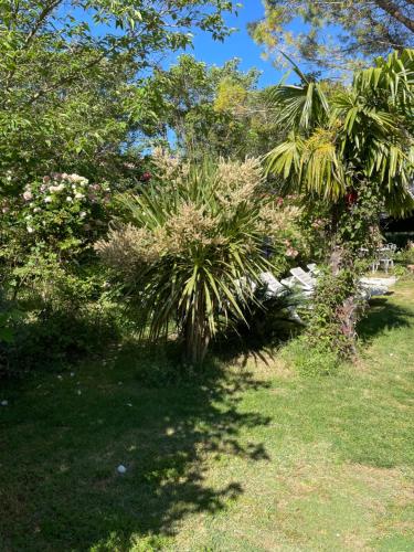 Un jardín fuera de Gites le Pimayon