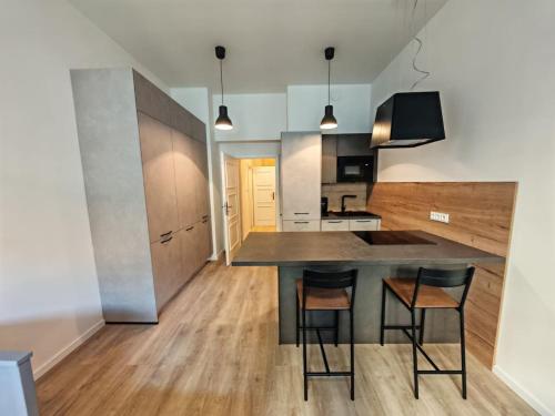 Quiet Studio in Hip Zizkov