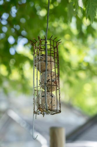 a bird cage with cookies in it hanging from a tree at Casa Il Nocciolo in Rocca Malatina