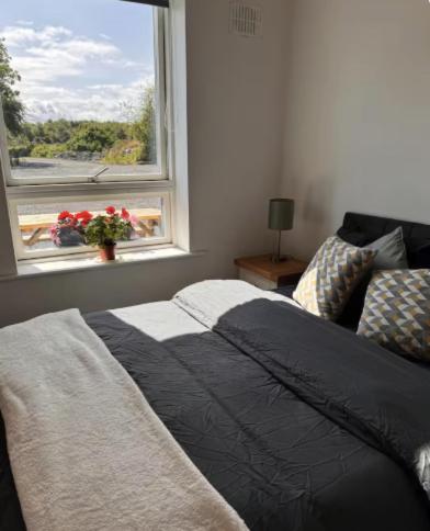 a bedroom with a bed and a window with a view at Rushbrooke cottages in Edenderry