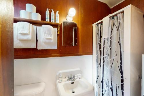 een badkamer met een wastafel en een douche bij Fishermans Cottage in Manitowish Waters