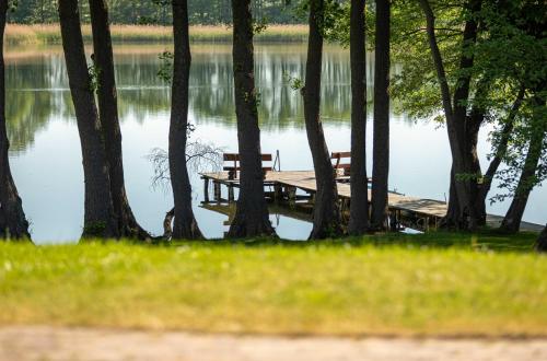 a dock with two benches next to a lake at Zwergtaucher - Ferienwohnung mit Balkon, Seeblick & Freizeitangeboten am See in Jabel