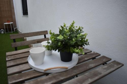 une table avec deux tasses et une plante en pot dessus dans l'établissement La casa de los Abuelos, à Alcalá de los Gazules