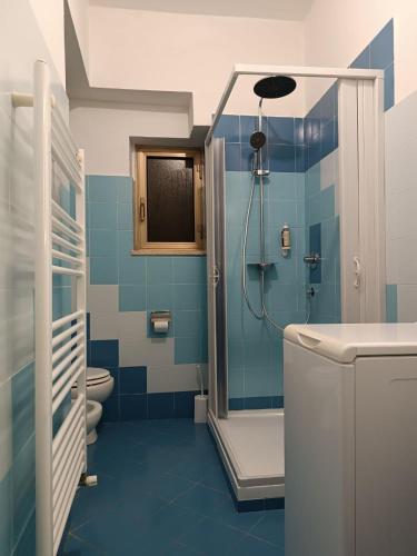 a blue bathroom with a shower and a toilet at Il Torrione in Guardiagrele