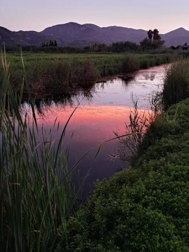 a river in a field with mountains in the background at Ático in Pego