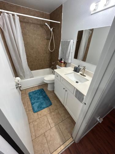 a bathroom with a sink and a toilet and a mirror at The Sunshine State Midpoint in Seffner