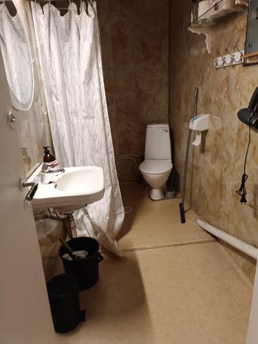 a bathroom with a sink and a toilet at Holiday Riverside Beach Camping in Gol