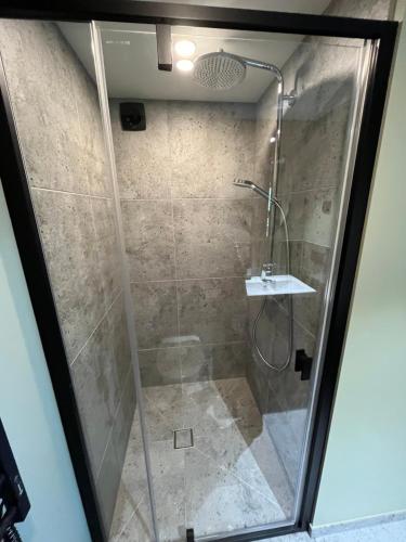 a shower with a glass door and a sink at Gilužio sodyba in Girsteitiškis