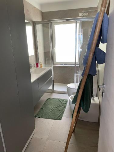 a bathroom with a toilet and a ladder in it at Appartamenti Ramarro in Ronco s/Ascona - Porto Ronco