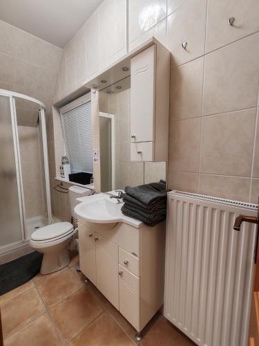 a bathroom with a white toilet and a sink at apartma Pohorc - Kostanj in Pohorje