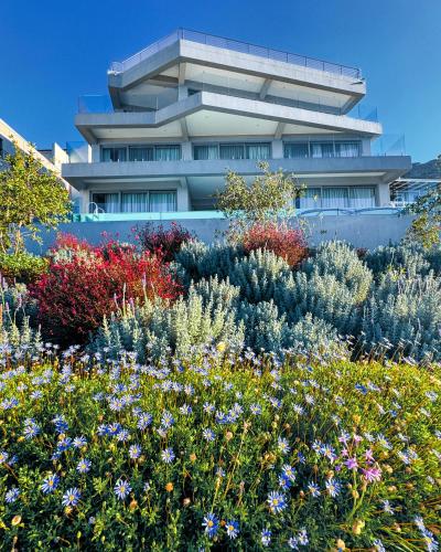 Сад в Executive Boulders Beach Suite with Ocean Views