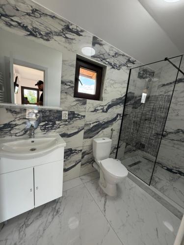 a bathroom with a toilet and a sink and a shower at Casă de vacanță in Ocniţa