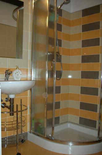 a bathroom with a shower and a sink at Chalupa SVRATKA in Moravská Svratka