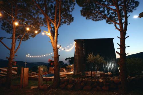 Foto dalla galleria di Kunuz 