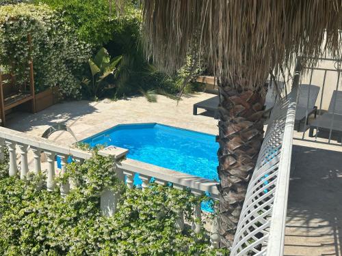 - une piscine à côté d'un palmier dans l'établissement Villa Paradis - Cannes, à Cannes