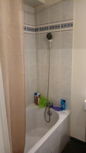 une salle de bain avec baignoire et douche dans l'établissement Air-conditioned 2 bedroom duplex apartment 5 people, à Villefranche-sur-Saône