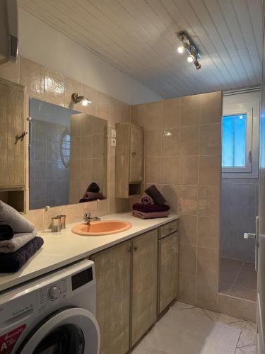 une salle de bain avec un lavabo et une machine à laver dans l'établissement Maison Tamaris, à LʼIsle-sur-la-Sorgue