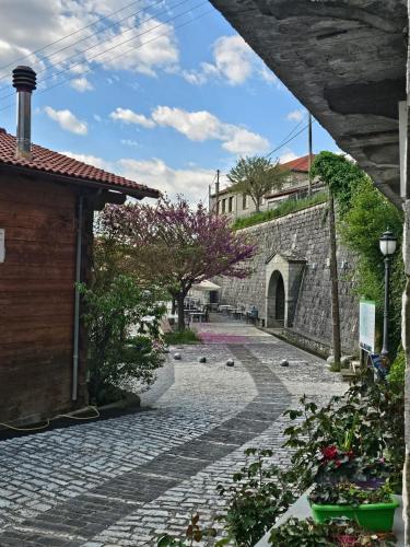 Zahrada ubytování Studios Iris