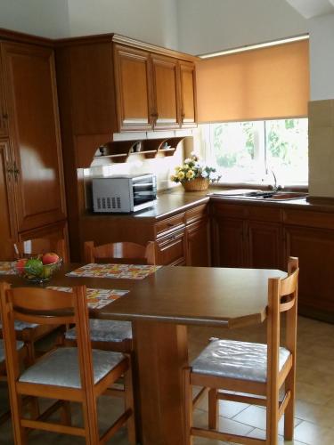 Η κουζίνα ή μικρή κουζίνα στο Maria Studios and Apartments