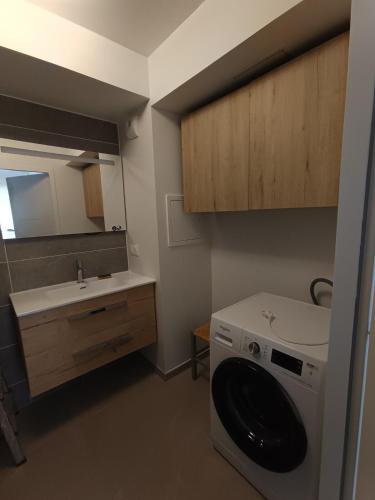 une salle de bain avec une machine à laver et un lavabo dans l'établissement Annecity, à Annecy