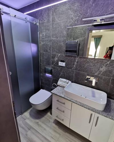 a bathroom with a toilet and a sink and a mirror at Kuća za odmor Vasiljević in Milavac