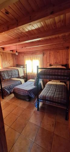 a room with four bunk beds in a cabin at Hostel Parador El Camello in Ciudad Lujan de Cuyo