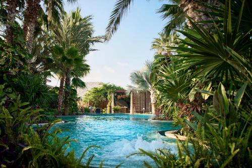 a swimming pool with palm trees in a resort at Zadún, a Ritz-Carlton Reserve, Los Cabos in San José del Cabo