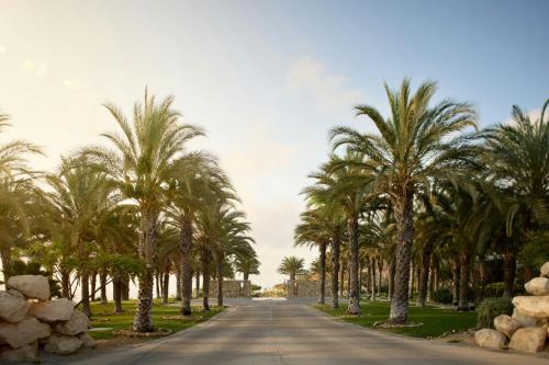 a road with palm trees on the sides of it at Zadún, a Ritz-Carlton Reserve, Los Cabos in San José del Cabo